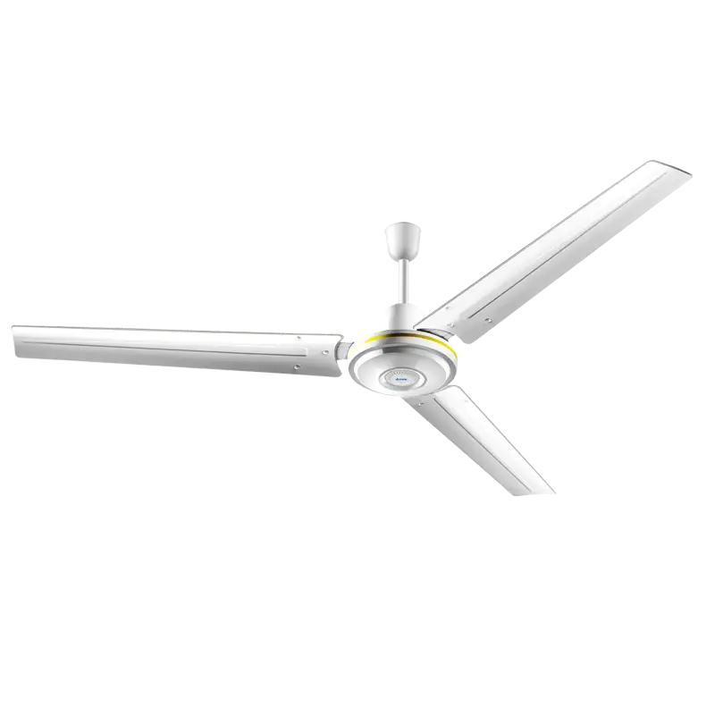 Ceiling Fan